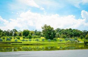 estanque verde en el lago del paisaje de verano del parque con jardín de palmeras y fondo de cielo azul