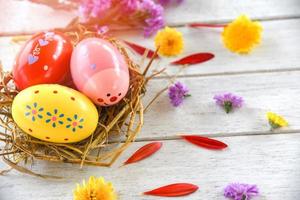 Easter eggs in nest decoration with colorful spring flowers petal on white background photo