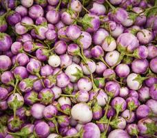 Eggplant purple background in the vegetable market Thai eggplant asia photo