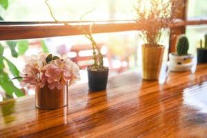 minimal table , Plant in pot on window with sunlight - Green home houseplants and wooden table photo