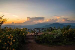 Landscape Thailand beautiful view point mountain scenery view on hill with tree marigold field yelllow photo