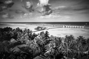 Dramatic summer beach landscape. Luxury vacation holiday, summer travel in black and white. Panoramic landscape of sunset beach, two loungers umbrella, palm leaf, dark monochrome sky. Fine art beach photo