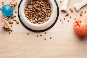 A bowl with dog food, dog treats and toys on a wooden floor. photo