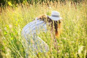 Young woman picking flowers in the meadow in summer evening photo