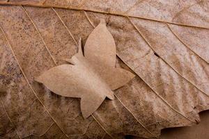Paper butterfly Macro view of dry leaf texture photo
