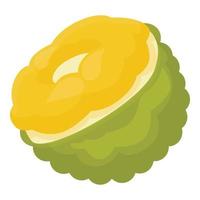 Jackfruit food icon cartoon vector. Summer nature vector