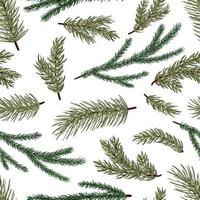 Set of conifer branches vector seamless pattern. Pine, spruce, cedar, larch, fir tree branches, winter nature texture for textile, print, card, christmas, greetings, wallpapers, background