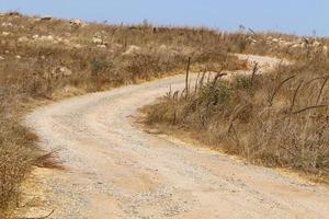 Forest country road in northern Israel. photo