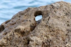 Texture of stones and rocks. Abstract stone background. photo