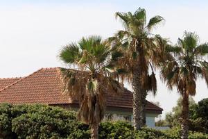 Tiled roof on a residential building in Israel. photo