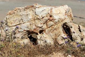 Texture of stones and rocks. Abstract stone background. photo