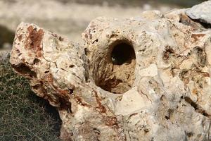 Texture of stones and rocks. Abstract stone background. photo