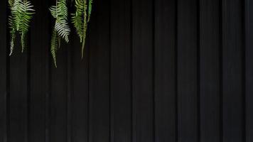 vid verde, liana, enredadera o helecho en la esquina superior izquierda sobre fondo negro de acero inoxidable en tono vintage. crecimiento de plantas en la pared de la puerta del obturador oscuro con espacio de copia. patrón de línea de papel tapiz de zinc. foto