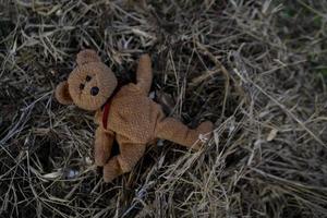 lonely teddy bear sleep on ground for created postcard  of international missing children, broken heart, lonely, sad, alone unwanted cute doll lost. photo