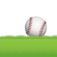 Baseball Sitting on Green Grass Illustration vector