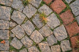 fondo de pequeños adoquines grises con hierba brotada entre las piedras, vista superior del camino refrescado por el sol. idea para fondo o papel tapiz. foto