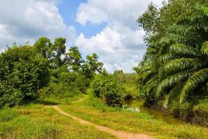 road in the county and beauty nature photo