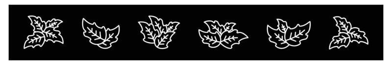 leaf icons set, leaf ecology nature element vector isolated on black background vector Illustration