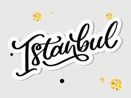 Istanbul. Hand lettering. Vector logo of Istanbul in black color with seagulls on white background. souvenir products, banner emblem, travel blog social media, brochure, flyer. Digital illustration.