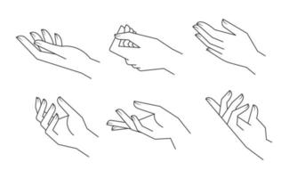 ilustraciones lineales vectoriales de manos estéticas. dibujos a mano elegantes estilizados con diferentes gestos. vector