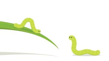 Worms on white background. copy space. vector