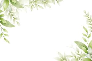 Beautiful Green Leaf Background Watercolor vector
