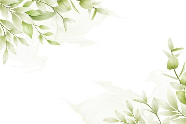 Beautiful Green Leaf Background Watercolor