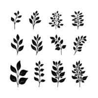 Set of black silhouettes of minimalistic branches, leaves for logo or tattoo, wedding herb. Botanical rustic greenery. Tree art design. Isolated on white background. vector