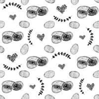 Hand drawn doodle nutmeg seamless pattern on white background vector