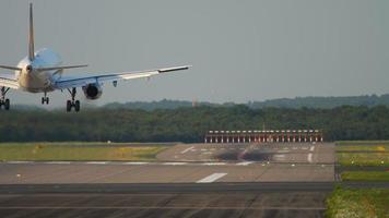 de passagerare plan ankommer på de flygplats. landning en plan på en sommar solig dag. vild djur- hare kör tvärs över de bana i främre av de plan video