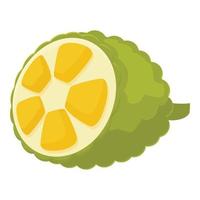 Vegetarian jackfruit icon cartoon vector. Summer food vector