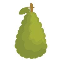 Whole jack fruit icon cartoon vector. Half food vector