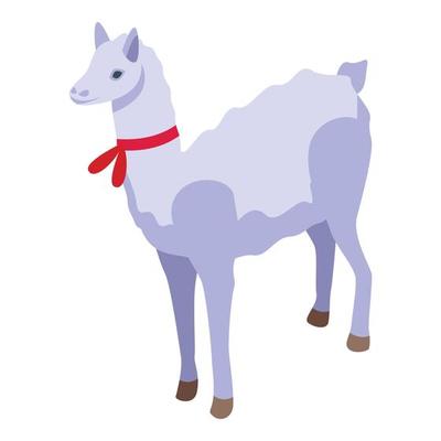 Chile lama icon isometric vector. Park culture