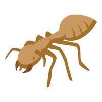 Australia ant icon isometric vector. Cute tropical vector