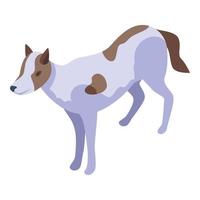 Africa wild dog icon isometric vector. Animal mammal vector