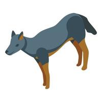 Wolf wild icon isometric vector. Predator carnivore vector