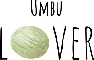 Watercolor illustration of green umbu. Fresh raw fruit. Umbu lover illustration vector