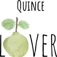 Watercolor illustration of green quince. Fresh raw fruit. Quince lover illustration vector