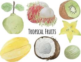 Watercolor background with various tropical fruits on white background. Concept of healthy eating, food background. vector