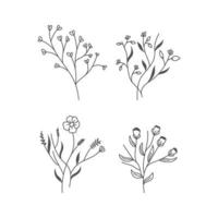 conjunto de elementos florales botánicos dibujados a mano arte lineal vector