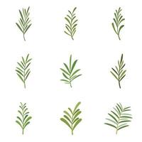 Rosemary icons set flat vector. Herb spices vector