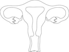 continuous line art drawing of female reproductive uterus vector