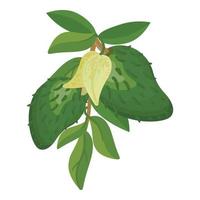 vector de dibujos animados de icono de guanábana de árbol. jugo de anona