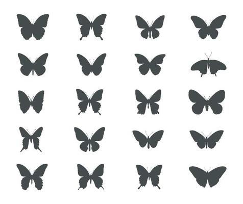 conjunto de siluetas de nueve hermosas mariposas voladoras 11754842 Vector  en Vecteezy