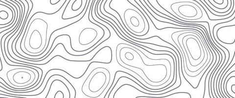 White wave paper curved reliefs abstract background, Abstract topographic contours map background. Geographic mountain relief. Abstract lines background. Contour maps. Business concept. vector