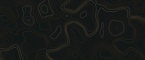 Topographic map. Abstract background with lines and circles. Gold mountain contour lines. Topographic terrain. Gold black Topography background. vector