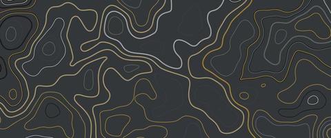 Abstract topographic map concept with space for your copy. Colorful topographical contour lines isolated on a gray background.