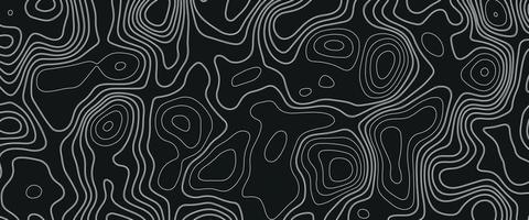 Topographic background and texture. abstraction with place for text. Topo backdrop lines, contour, geographic grid. Modern black and white topographic contours lines of mountains. Topography map art vector