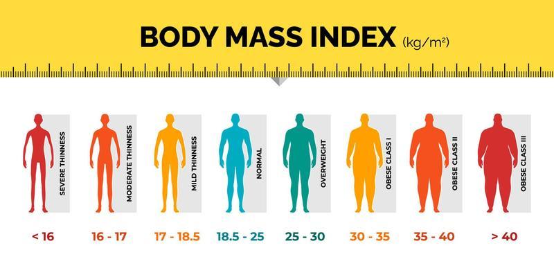 Body Measurement Vector Art Icons And Graphics For Free Download body-measurement-vector-art-icons-and-graphics-for-free-download