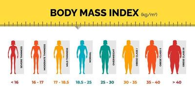 gráfico de clasificación bmi medición mujer infografía colorida con regla. colección de escala de índice de masa corporal femenina de ajuste de bajo peso a sobrepeso. persona diferente nivel de peso. pasos vectoriales vector